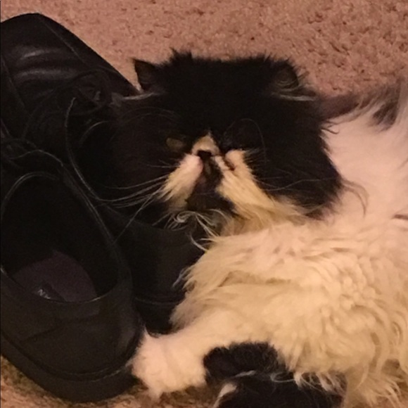 Meet your Posher, Wendi - Picture 2 of 2